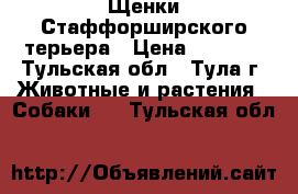 Щенки Стаффорширского терьера › Цена ­ 9 000 - Тульская обл., Тула г. Животные и растения » Собаки   . Тульская обл.